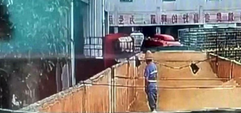 Polish_20231024_181126928