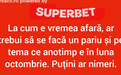 Polish_20231106_003732587