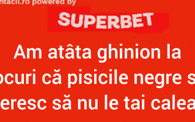 Polish_20231106_004241607