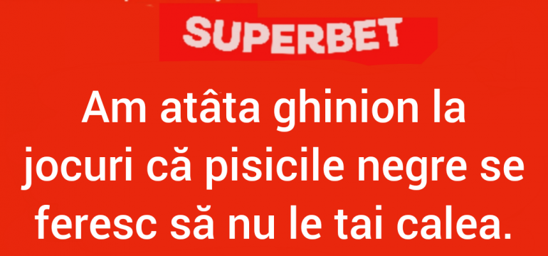 Polish_20231106_004241607