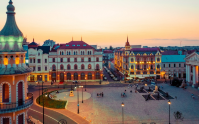 Polish_20231113_102727408