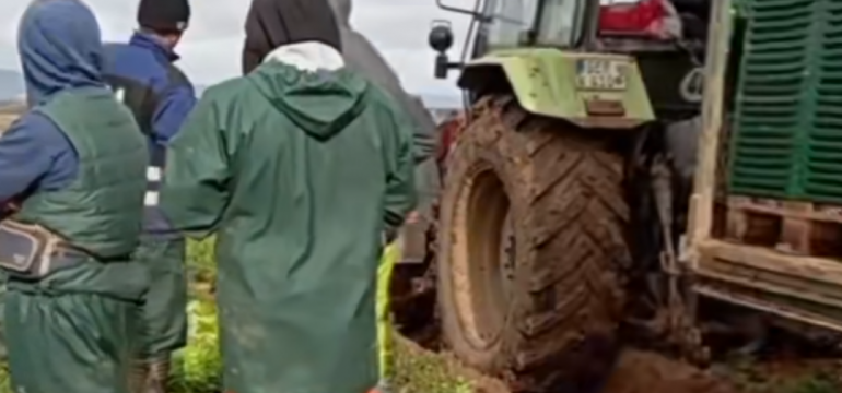 Polish_20231120_114455667