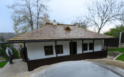 Polish_20231124_204908302