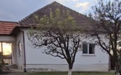 Polish_20231127_153136783