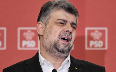 Polish_20240202_164103018