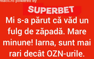 Polish_20240211_001959587