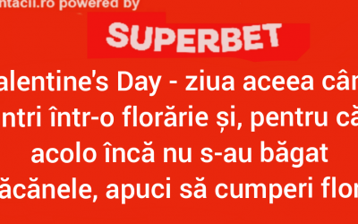 Polish_20240315_010748153