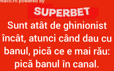 Polish_20240417_164109982