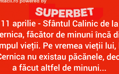 Polish_20240508_002706758