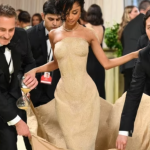 Tyla made a luxurious appearance at the 2024 Met Gala in a dress made of sand. You can also make such a dress at home if you have a cat