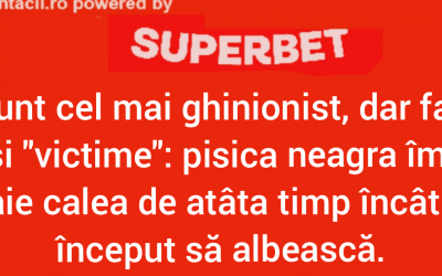 Polish_20240719_011210049