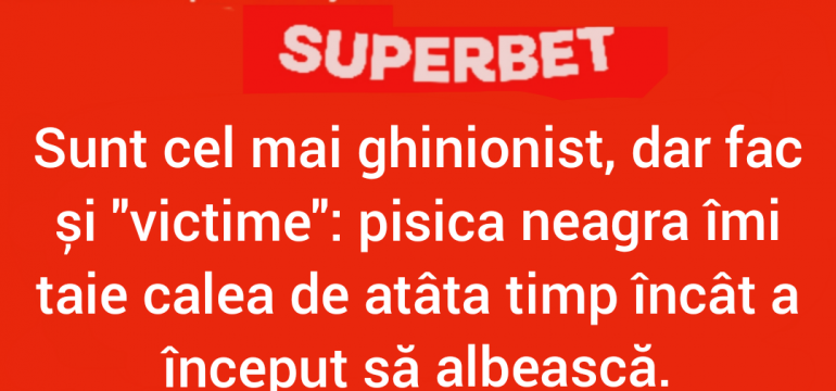 Polish_20240719_011210049