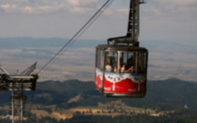 Polish_20240807_130757425