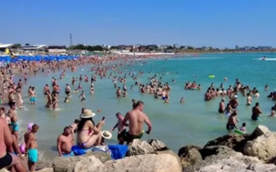 Polish_20240815_110108281