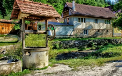 Polish_20240815_133138409