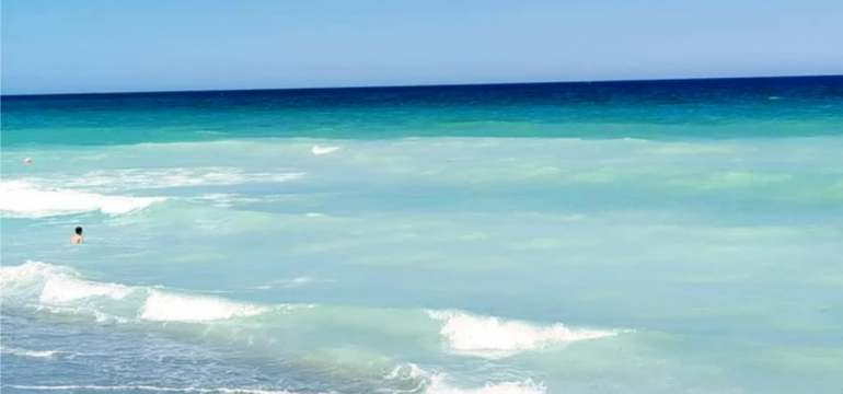 Polish_20240815_162030754