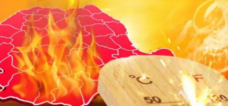 Polish_20240816_101713356