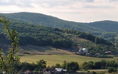 Polish_20240817_101732498