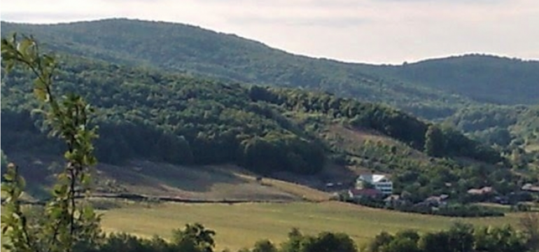 Polish_20240817_101732498