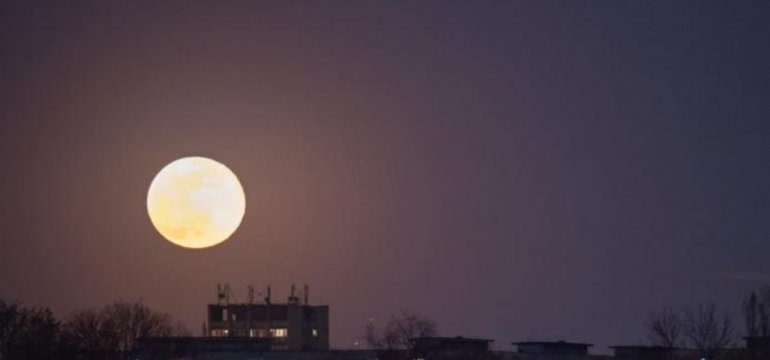 Polish_20240817_194059235