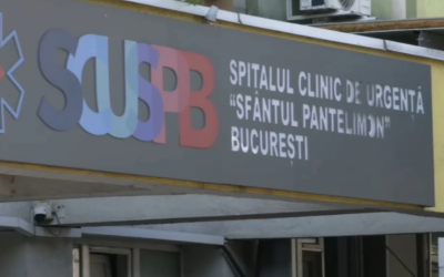 Polish_20240819_175526683