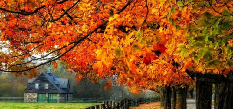 Polish_20240819_175715516