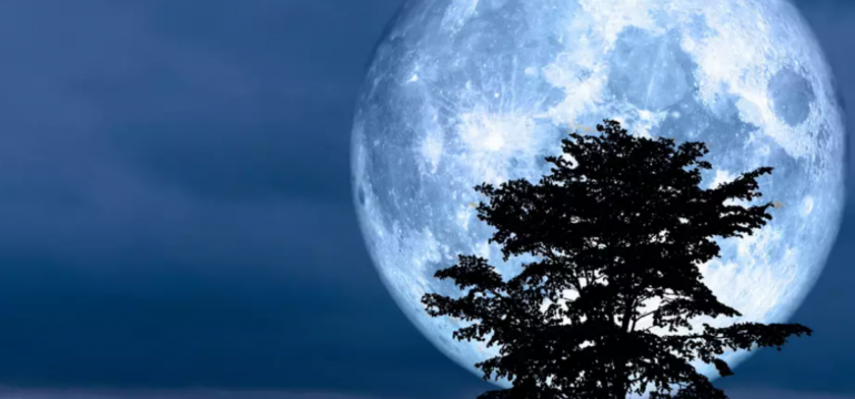 Polish_20240819_200641159