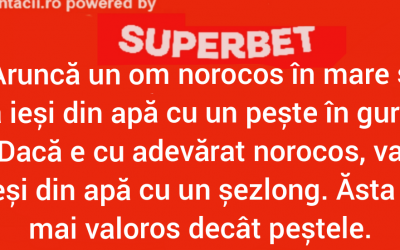 Polish_20240822_010828672