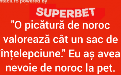 Polish_20240822_011153701