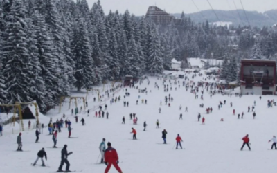 Polish_20241201_133035674