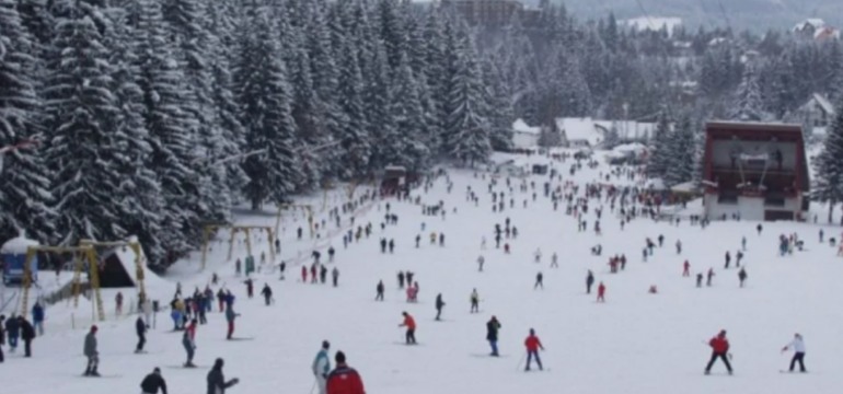 Polish_20241201_133035674