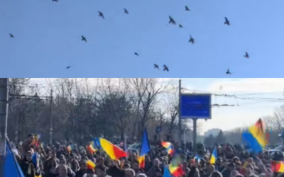 Polish_20250125_111807493