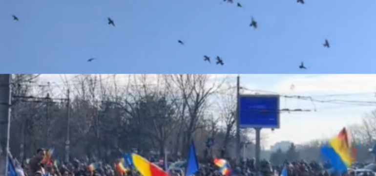 Polish_20250125_111807493