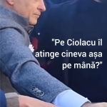 Ciolacule, te oftici?