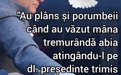 Polish_20250126_205937778