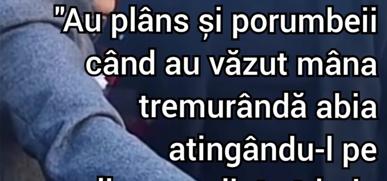 Polish_20250126_205937778