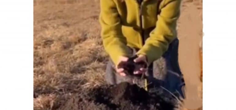 Polish_20250206_015430734