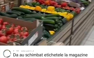 Polish_20250208_121801507