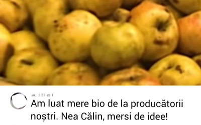 Polish_20250209_231703082