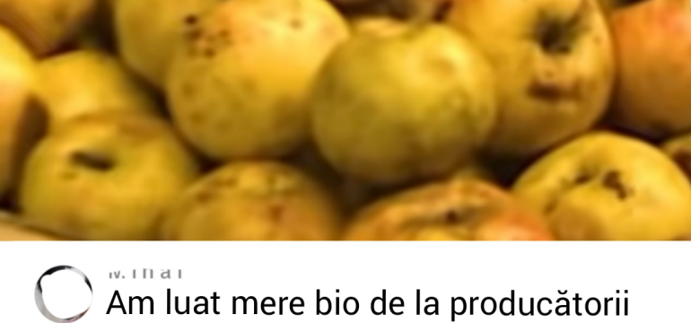 Polish_20250209_231703082