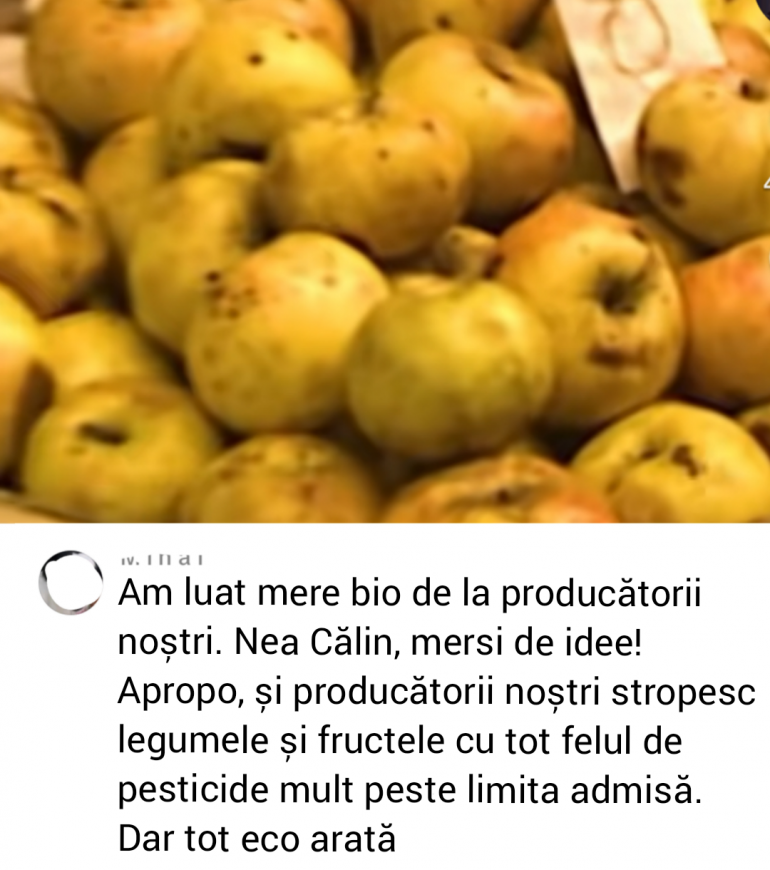 Polish_20250209_231703082