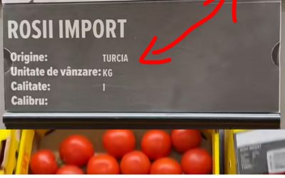 Polish_20250209_232831914