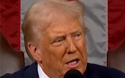 Polish_20250306_225342004