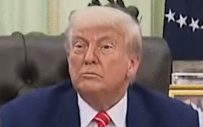 Polish_20250531_010853064