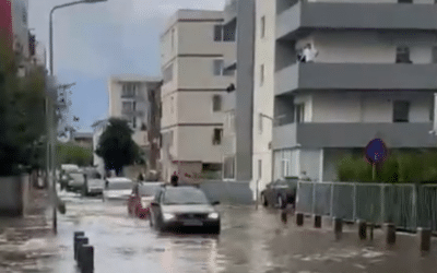 Polish_20250531_183413996