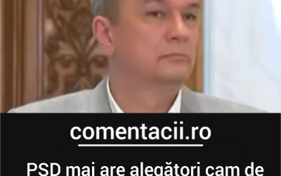Polish_20260819_091730504